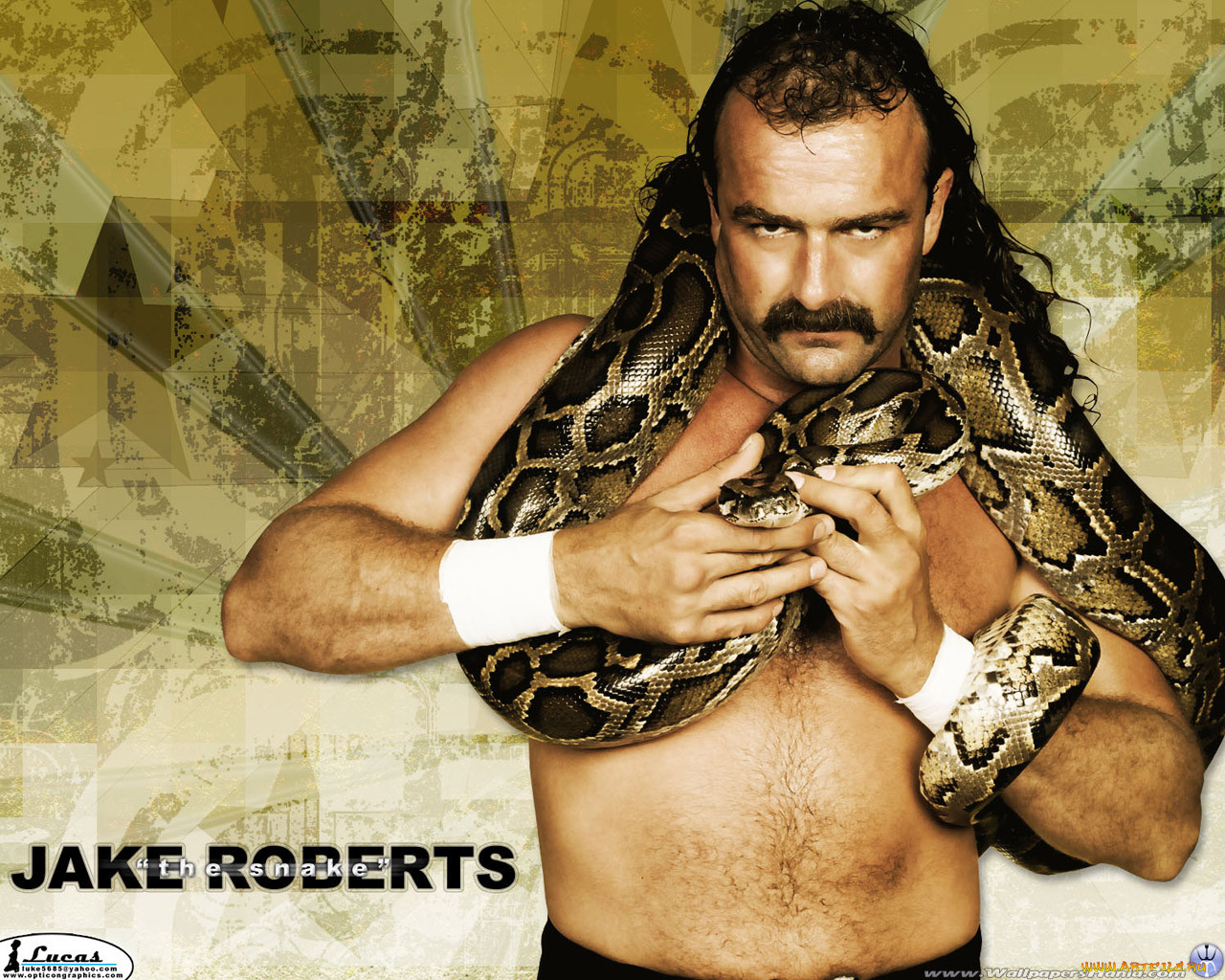 , wwe